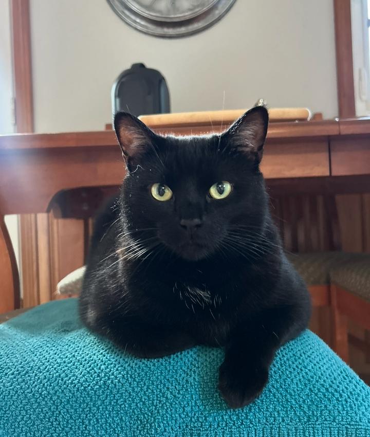 Portrait of Amy